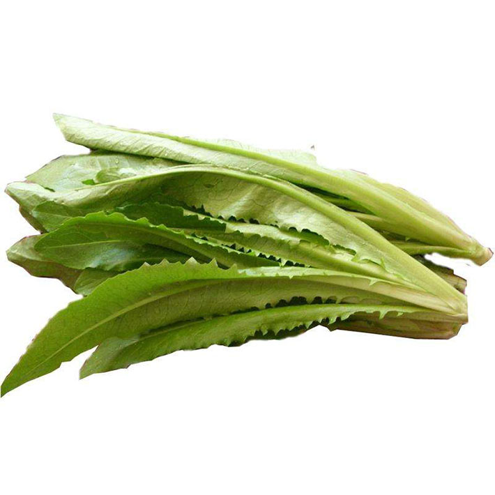 (山海鲜生)油麦菜约220g